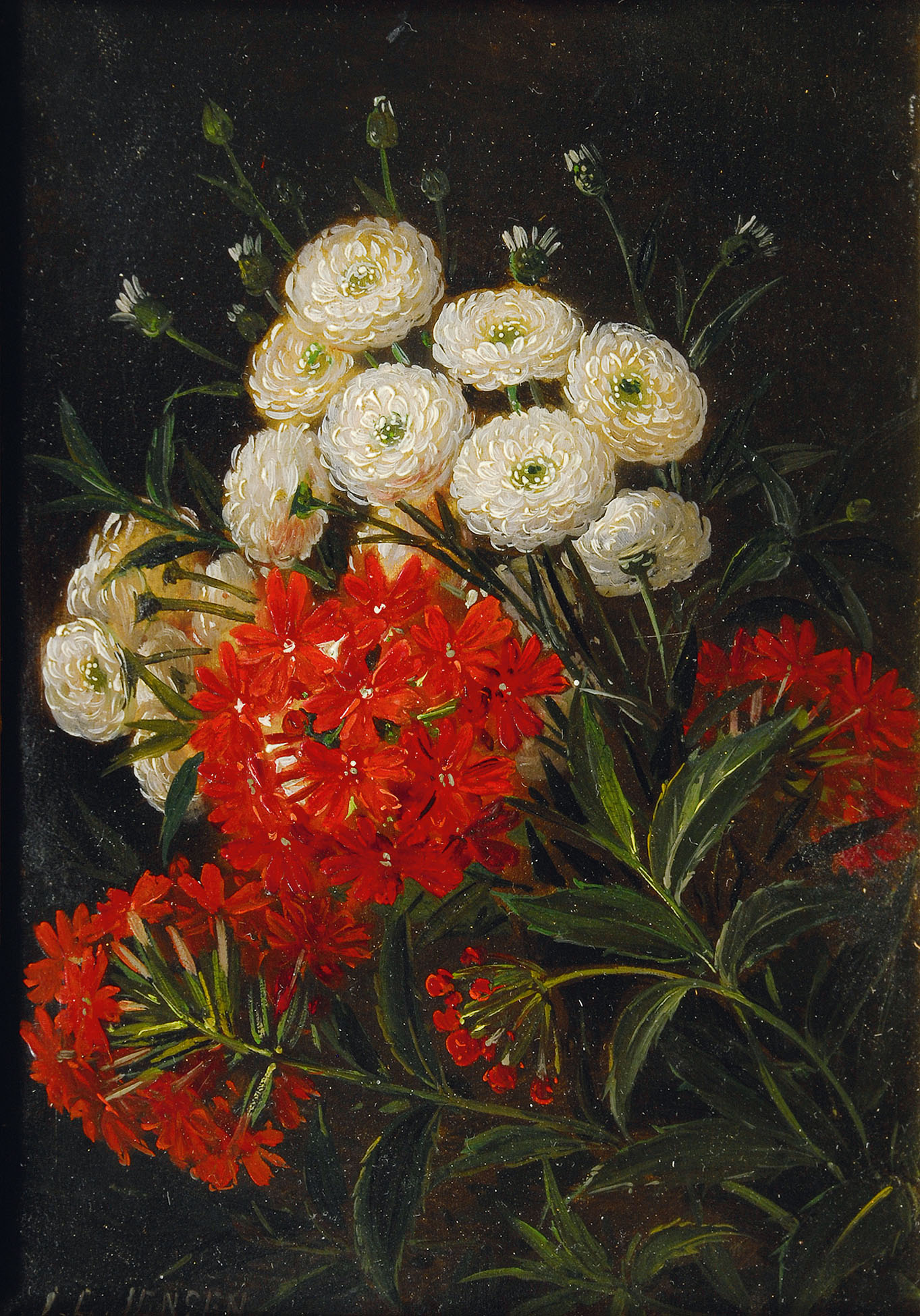Weiße Chrysanthemen und roter Phlox