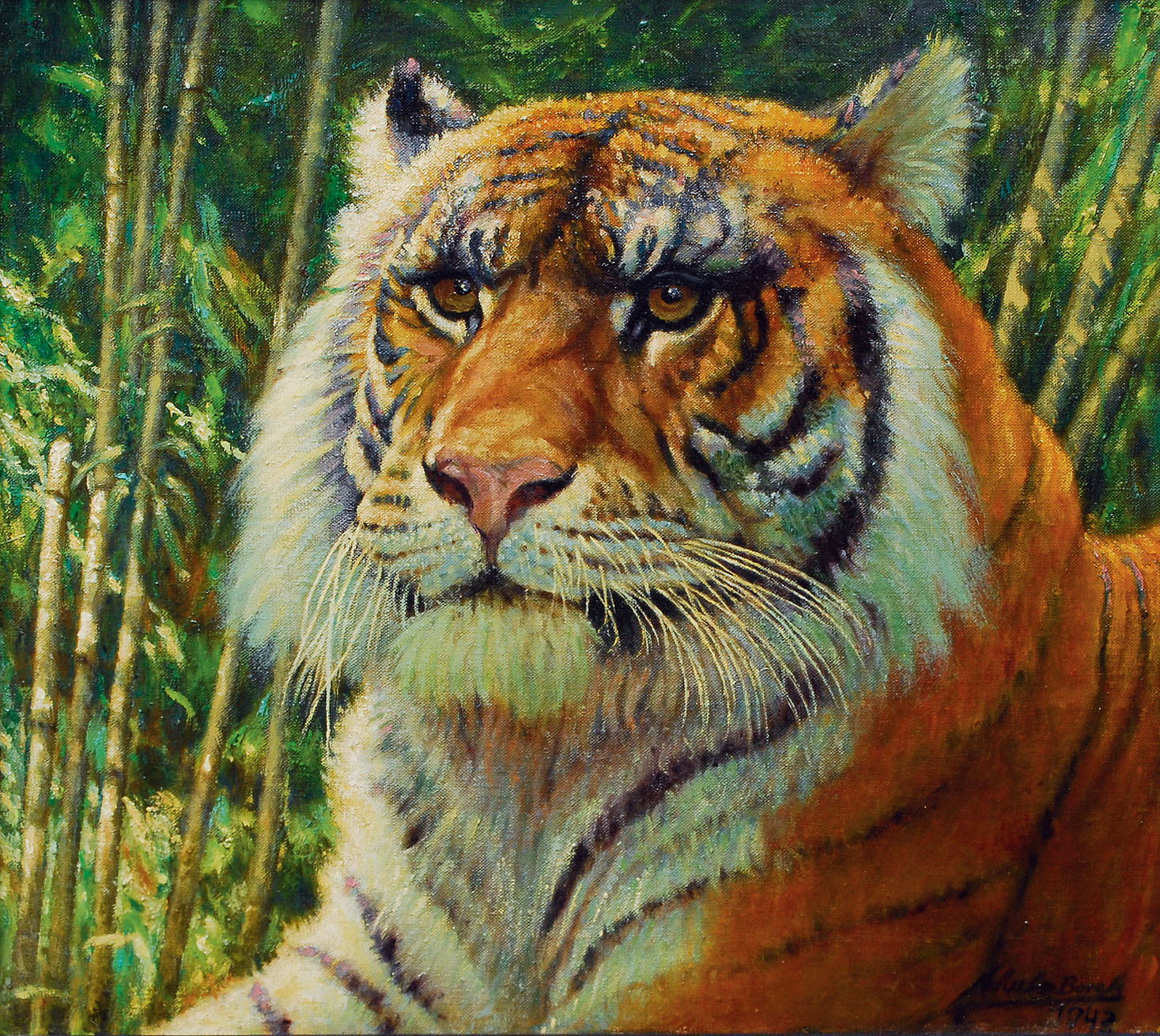 Tiger