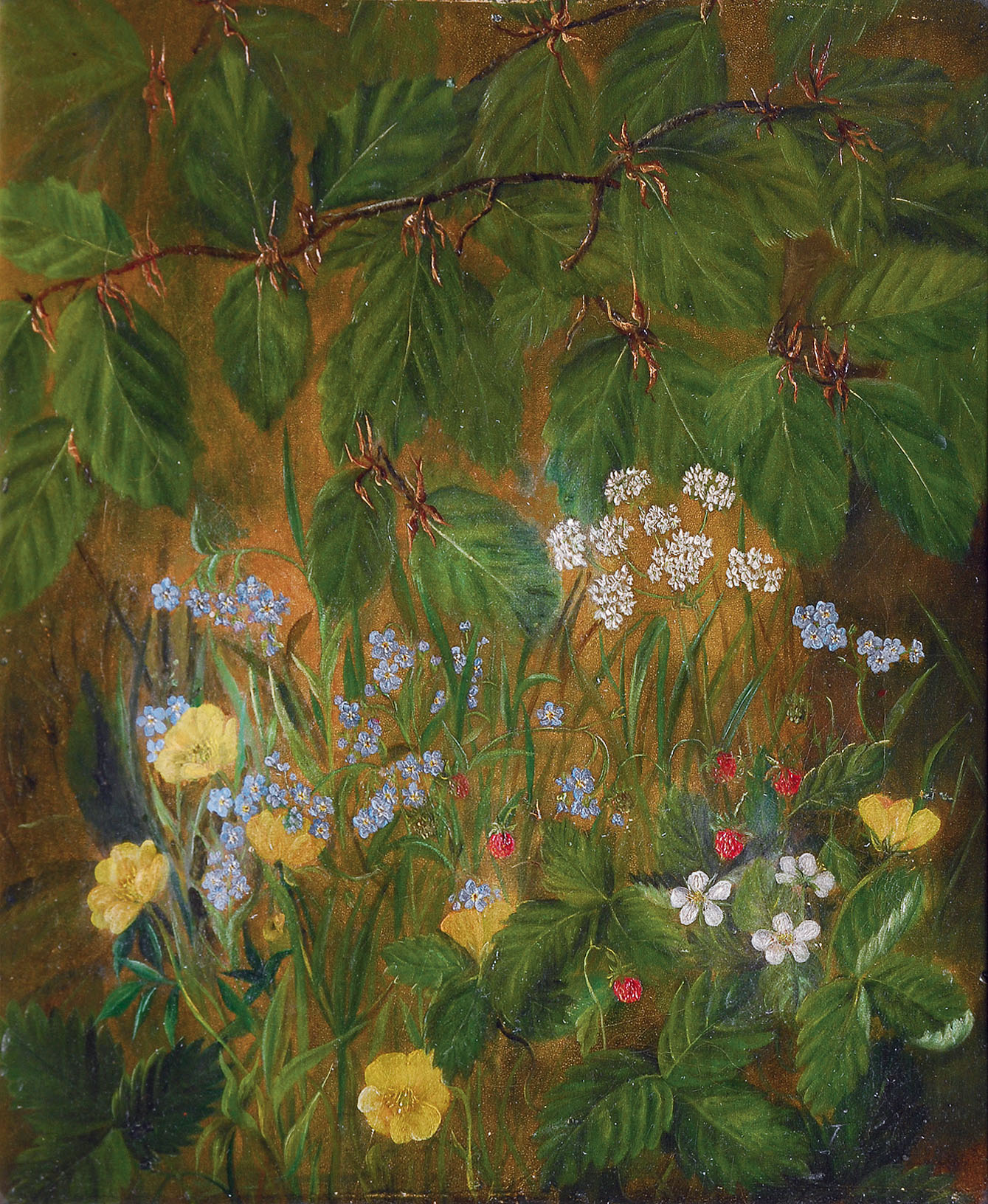 Waldstück mit Blumen