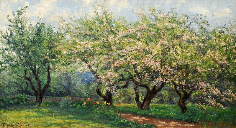 Blooming Apple-Trees