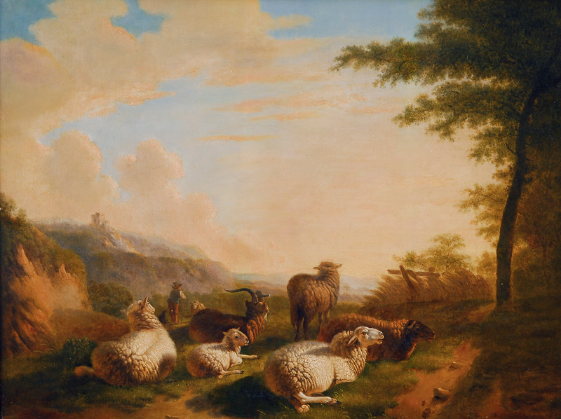Schafe und Ziegen auf der Weide