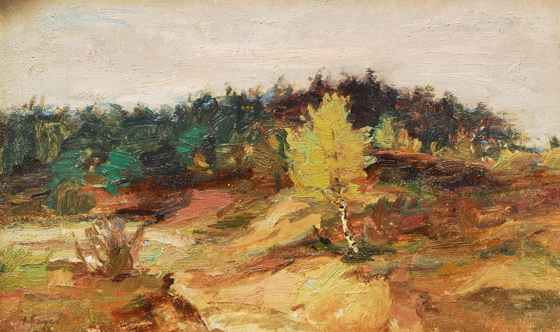 Landscape with Birch
