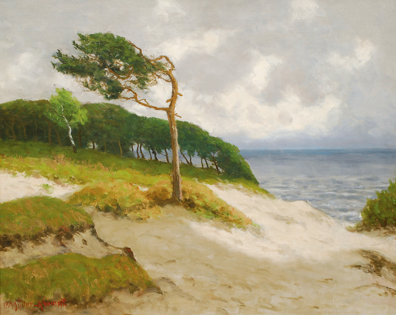 Coast of the Baltic Sea near Ahrenshoop