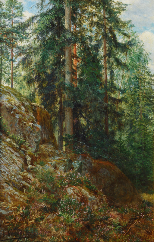 Waldlichtung