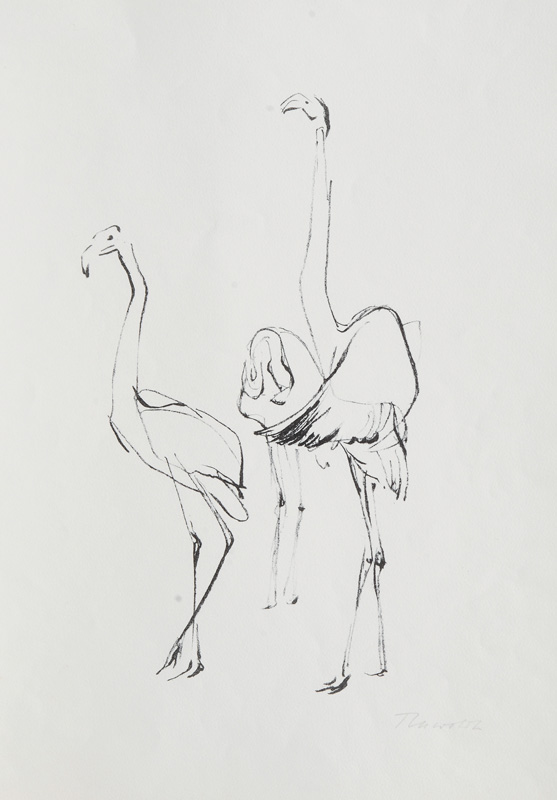 Dance of the Flamingo