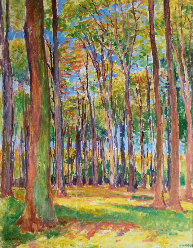 Forest in Himmelpforten in Spring