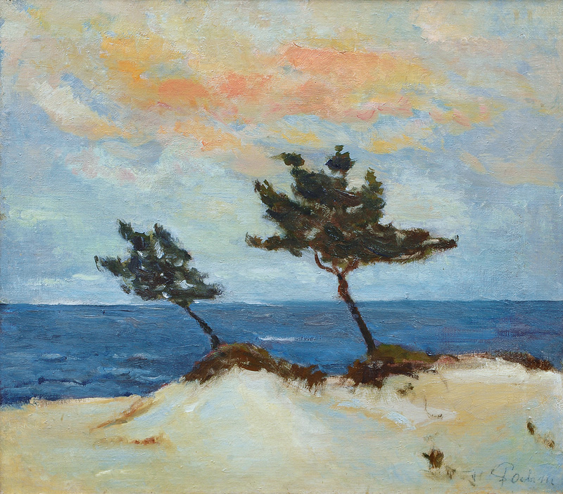 Pines at the Coast of the Baltic Sea