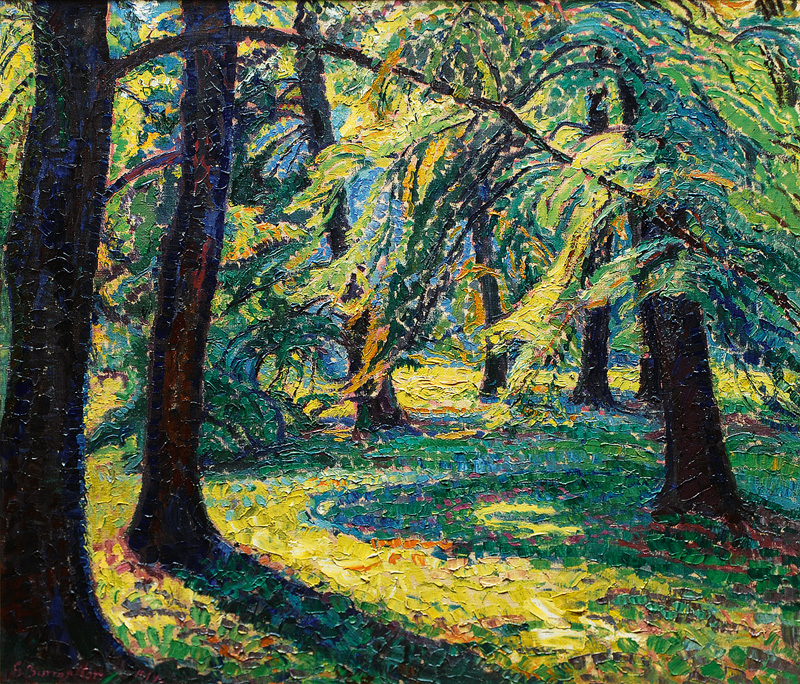 Sunlit Forest Clearing - image 2