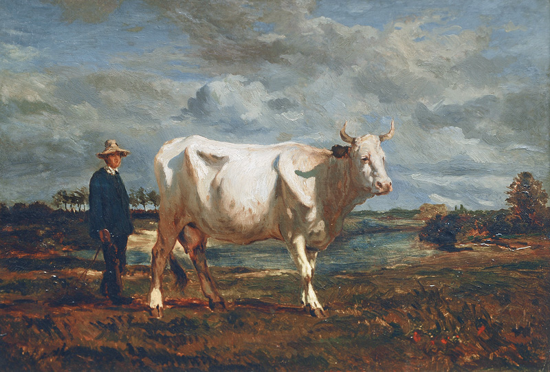 Mann mit weißer Kuh