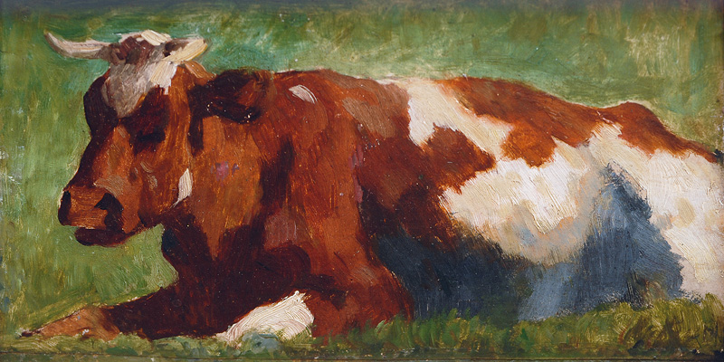 Red-White Tabby Cow