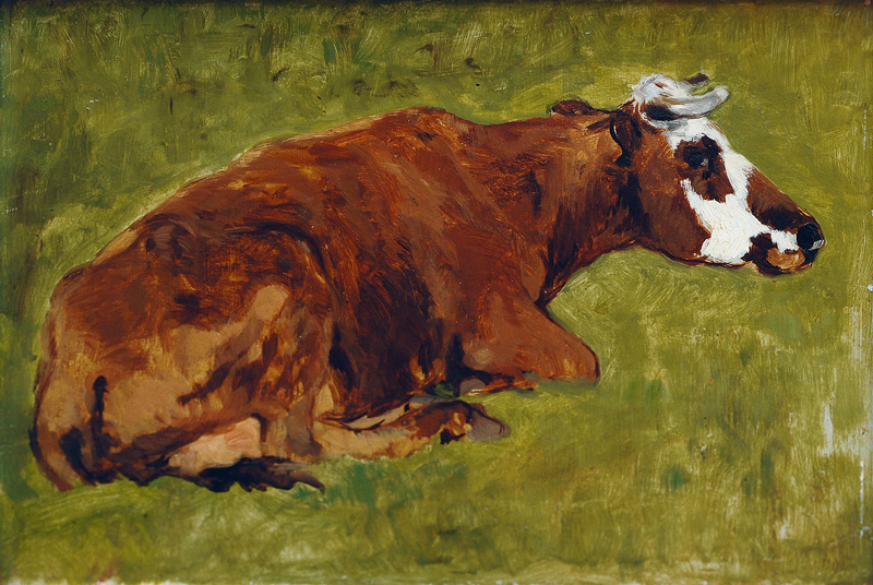 Lying Cow