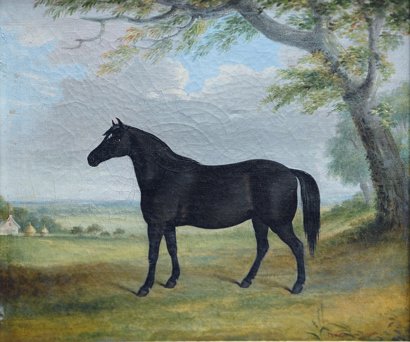 Portrait of a Horse