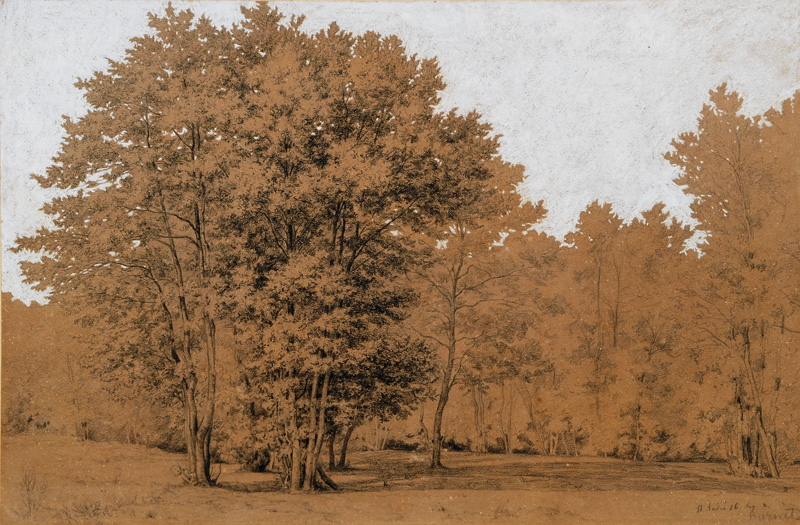 Landschaft bei St. André in Frankreich