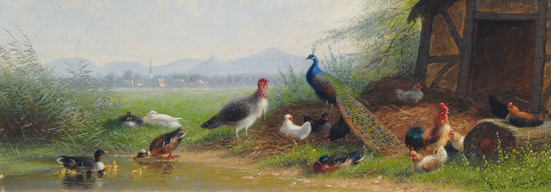 Paecock and Poultry at the Lake Side
