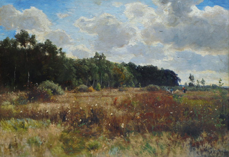 Landscape in Late Summer