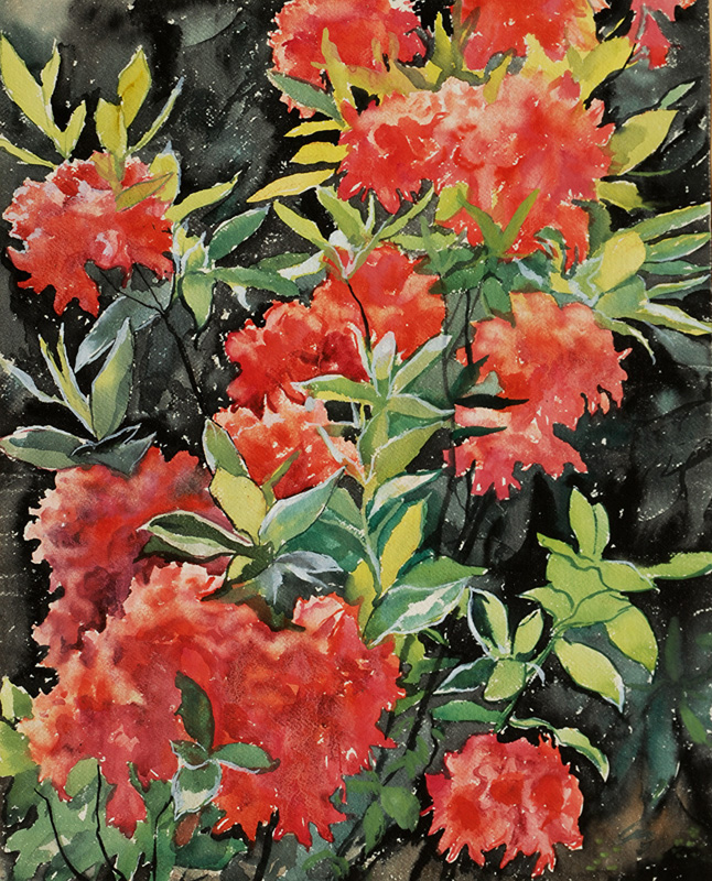 Rhododendron auf schwarzem Grund