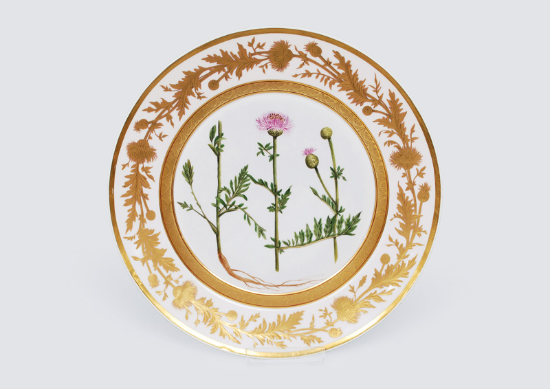 A pompouse plate with botanic flower painting