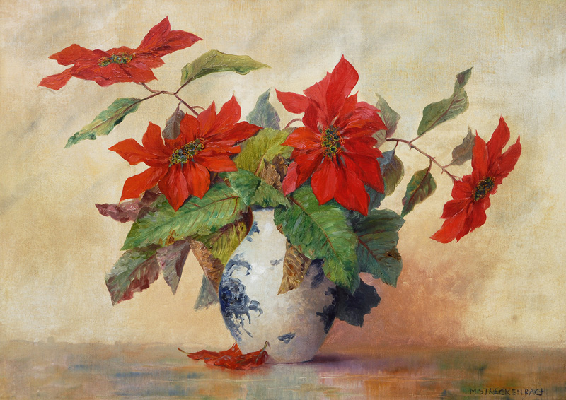 Poinsettias