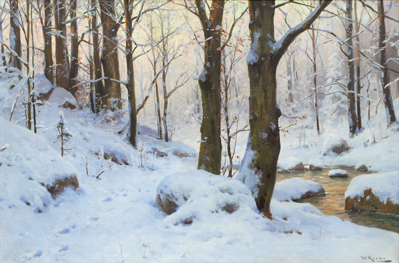 Creek in a Forest in Winter