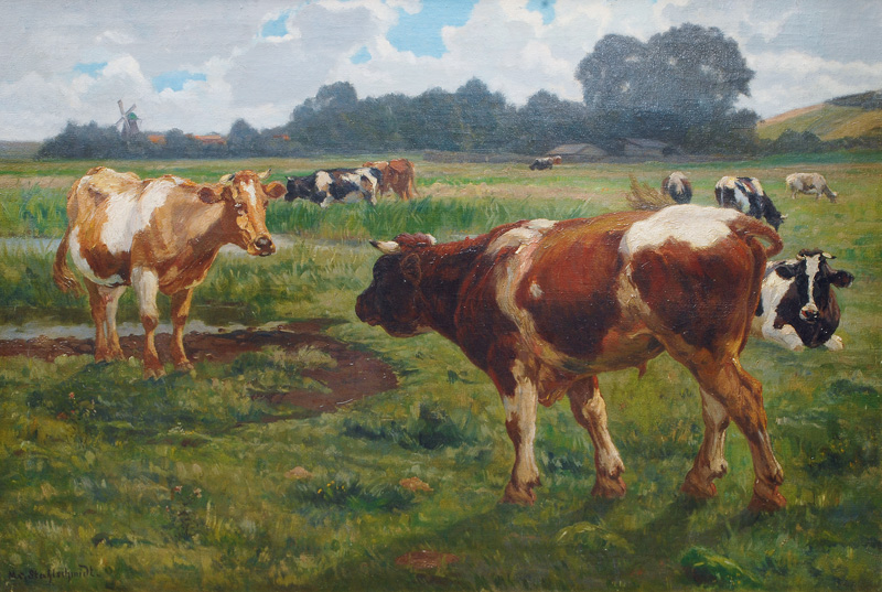 Kühe in weiter Landschaft