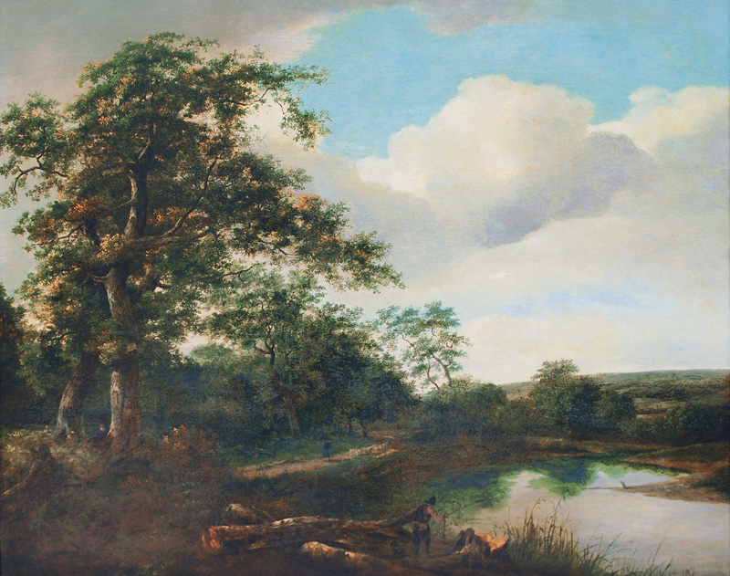 Landschaft mit Waldsee und Angler