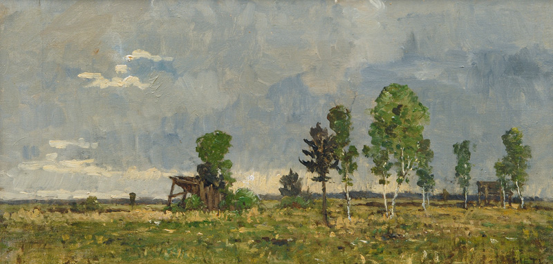 Birch Trees in the Dachau Moor