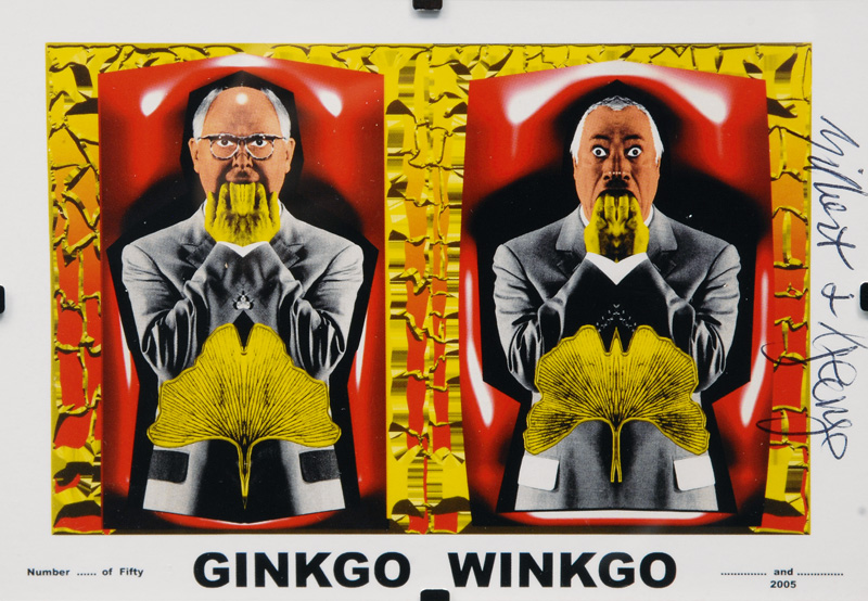 Ginkgo Winkgo