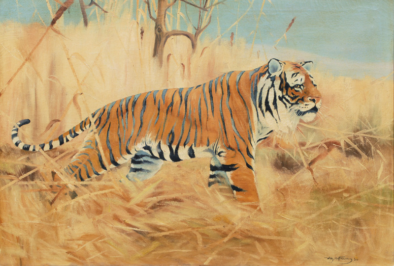 Wilhelm Hoffmann, frühes 20. Jh. - Tiger Tiger
