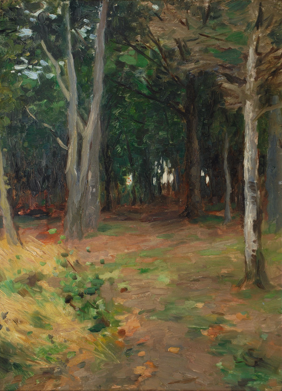 A Clearing in the Wood
