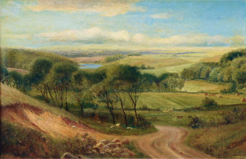 Extensive Landscape