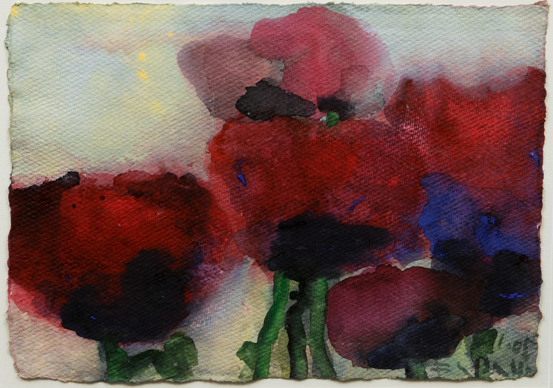 Poppies