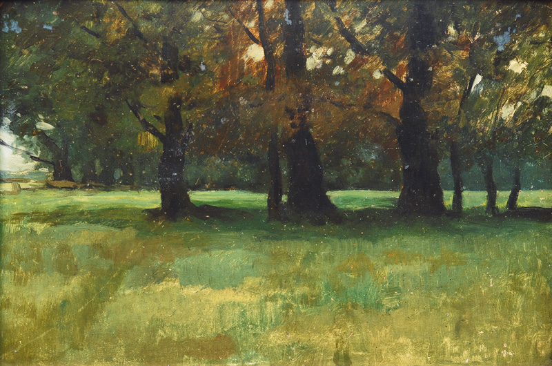 Thomas Herbst - In the Sachsenwald In the Sachsenwald
