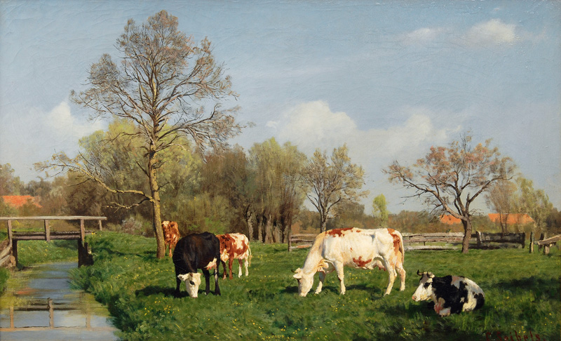 Cows grazing by a Creek