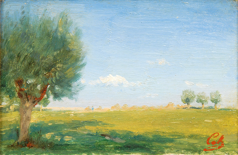 Summer Landscape