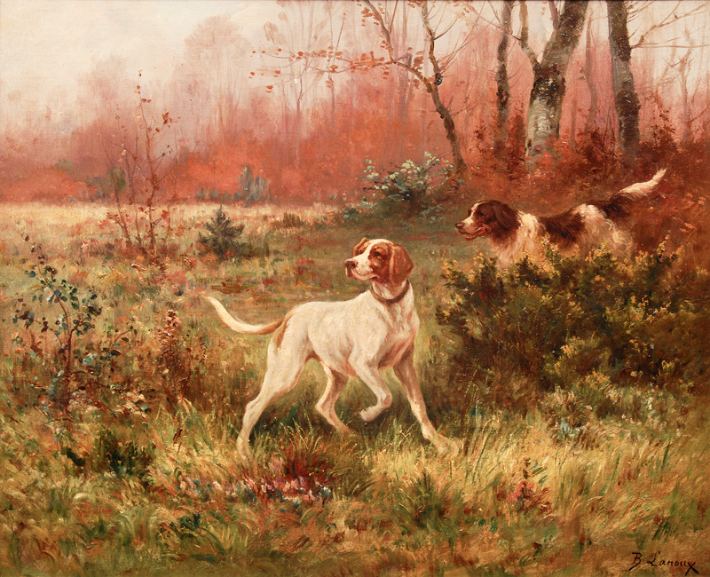 A Pointer and a Setter in a autumnal forest