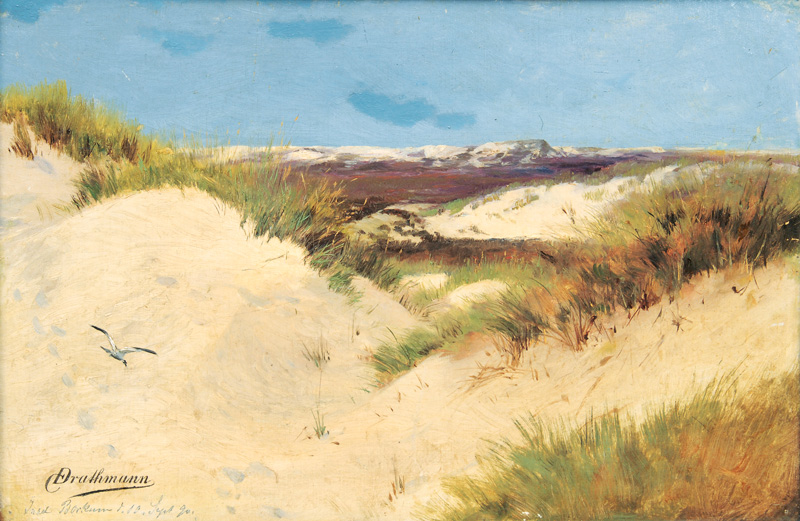 Dünen auf Borkum