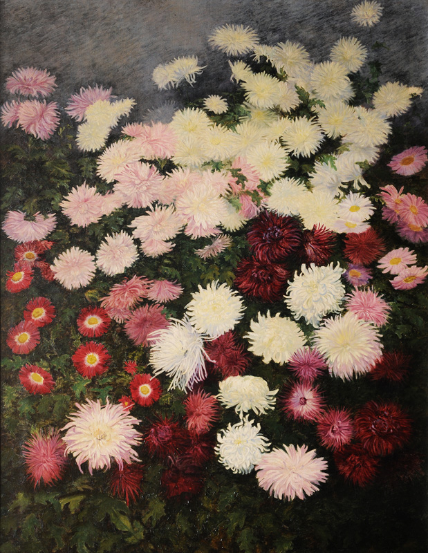 Chrysanthemums