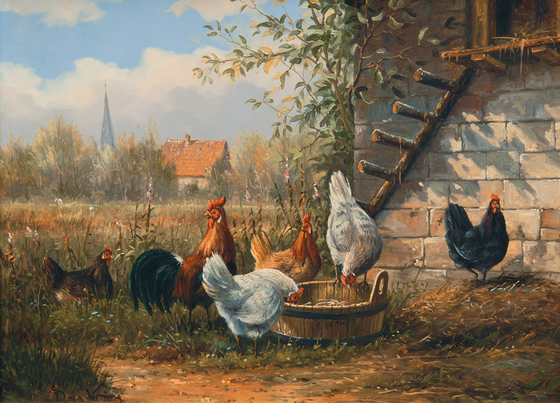 Idyllic Chicken Run