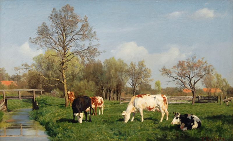 Weidende Kühe an einem Bach