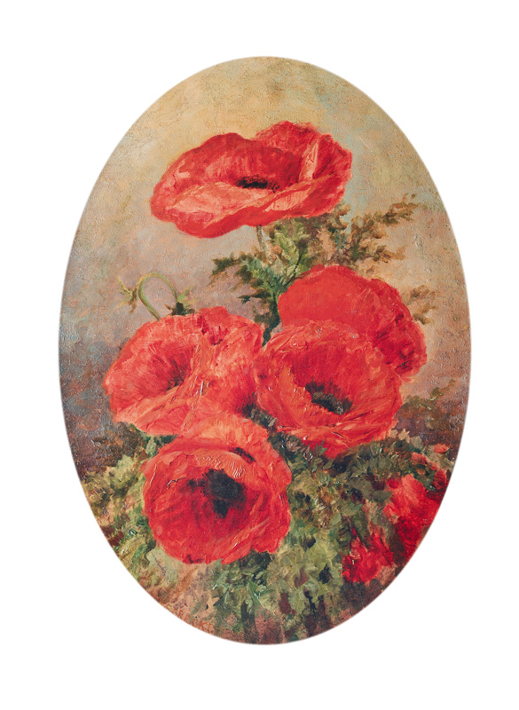 Klatschmohn