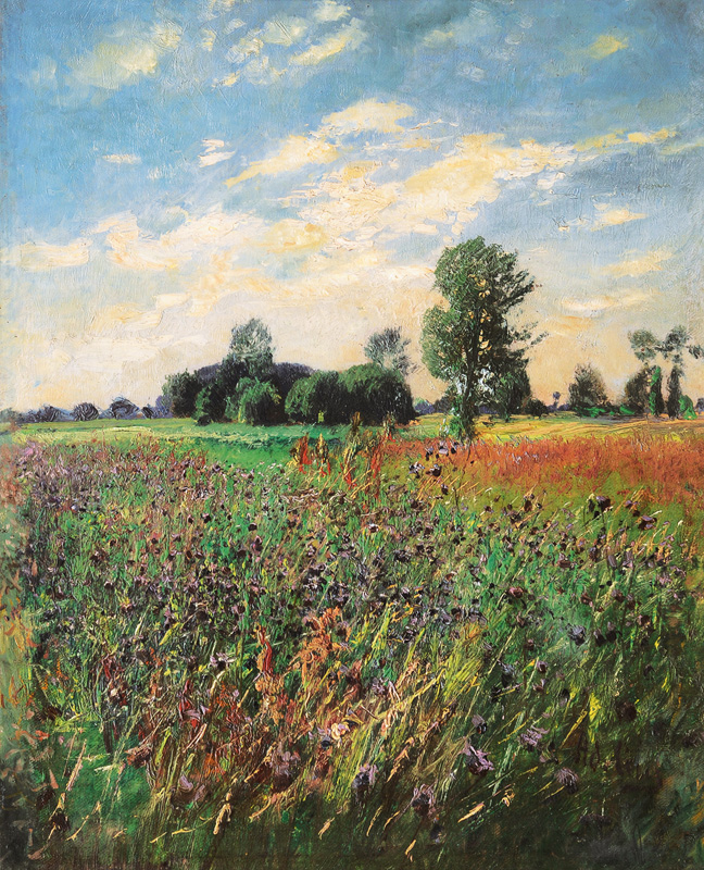 Summerly Meadow