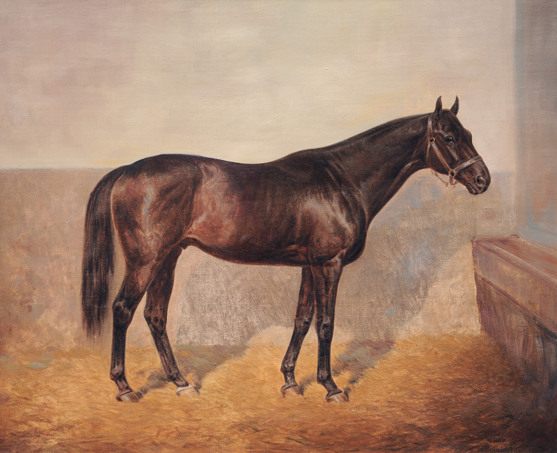 The Racehorse Tunichtgut