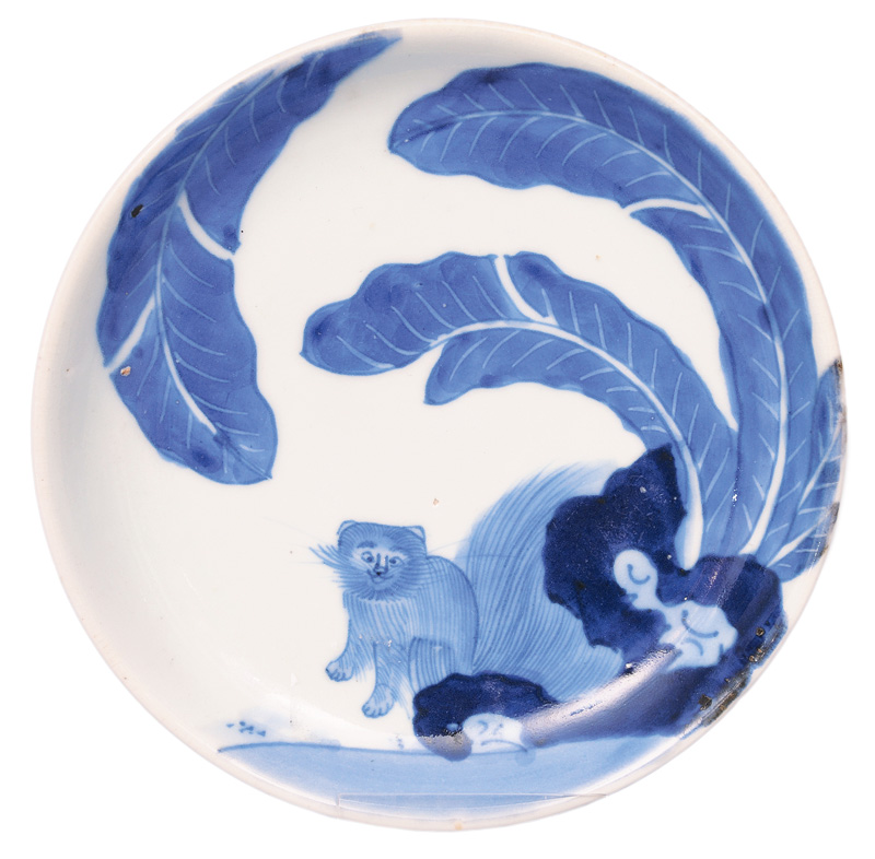 A plate with cat