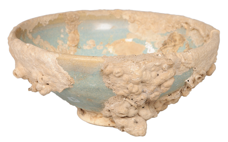 An exceptional celadon bowl with sea shell adhesions