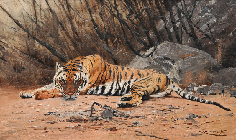 Resting Tiger