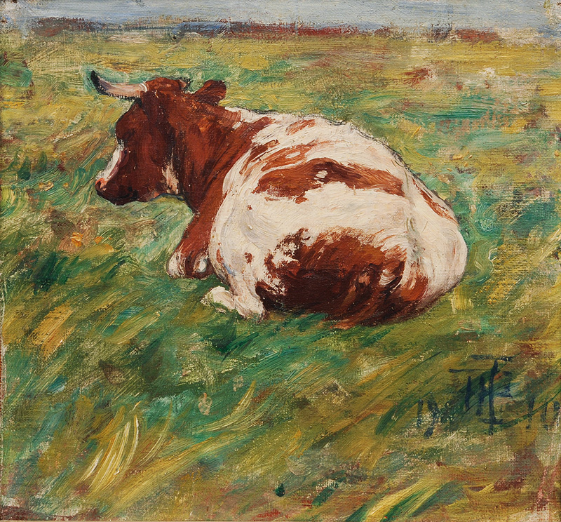 Resting Cow