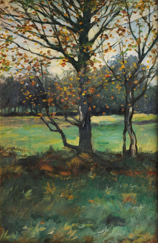 Tree on a Pasture