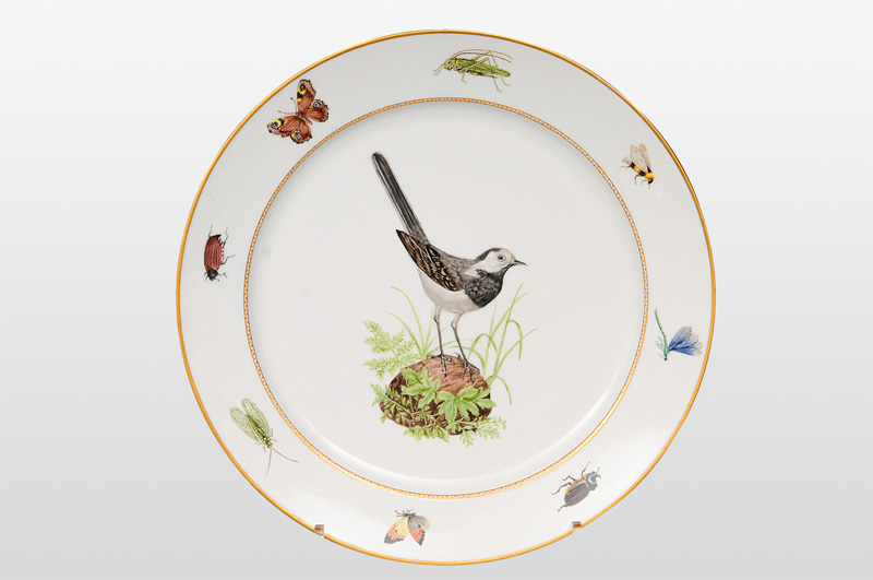 A large circular plate with wagtail and insects