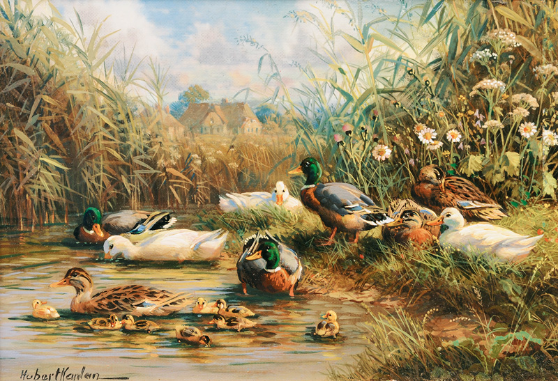 Ducks by a Pond