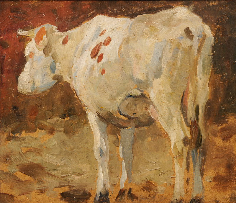 Standing Cow